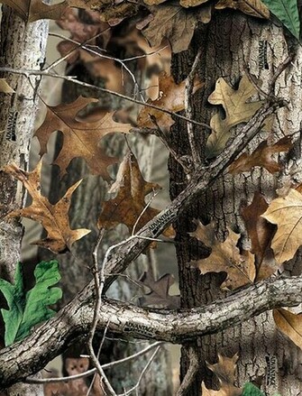 Source Url Smscs Photo Camo Html