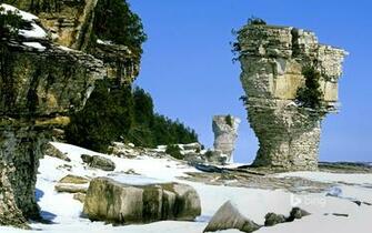 Flowerpots Eroded Limestone Formations Located On The Shoreline