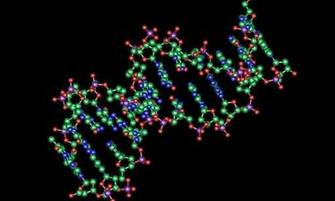 Biology Wallpaper Screenshot