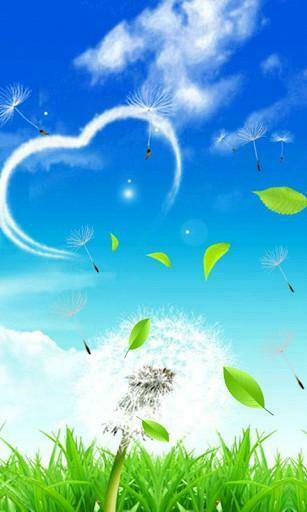 Galaxy S3 Dandelion Live Wallpaper Cool HD