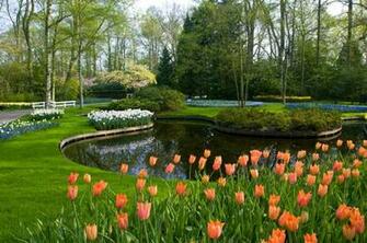 Spring Garden Keukenhof Gardens Lisse Holland Wallpaper HD