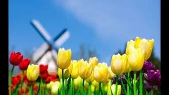 Related Pictures April Showers Wallpaper HD Desktop