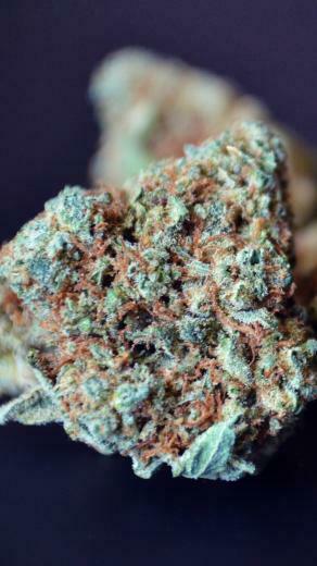 iPhone Marijuana Background Cannabis Destiny