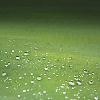 Full HD Wallpaper For Galaxy S3