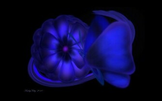 Black Butterfly Wallpaper HD Full Size