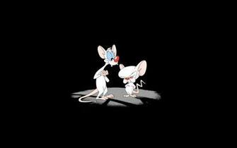 Pinky Y Cerebro And The Brain Cartoons Wallpaper