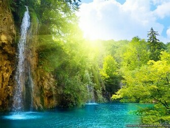 Background Wallpaper Cool Nature