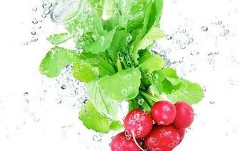 Screensavers And Wallpaper Food Android