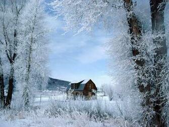 Wallpaper Background Home Desktop Forest Summer Cottage