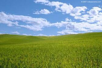 Windows Landscape Wallpaper