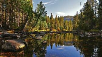 Forest Lake Wallpaper High Quality Desktop
