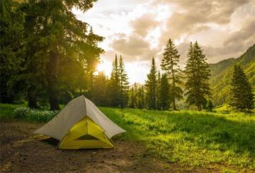 Amazon Lfeey Pine Forest Camping Backdrop For