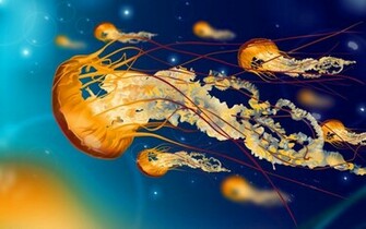 Wallpaper For Colorful Jellyfish HD