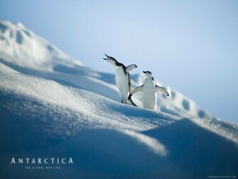 Antarctica Jpg