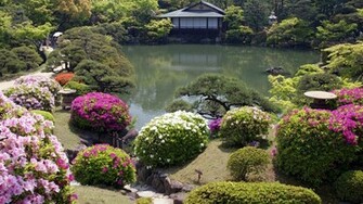 Japanese Garden Wallpaper HD Flowers A House