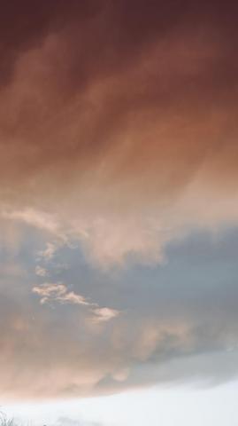 Brown Sky Pictures Image