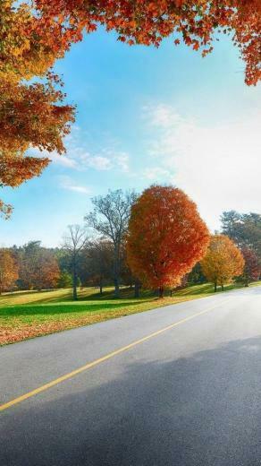 Naturewallpaper Beautiful Mobile Phone HD Wallpaper To Enlarge