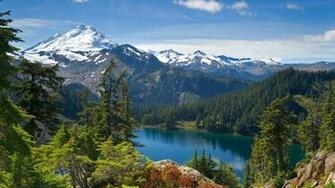 Category Nature HD Wallpaper Subcategory Forests
