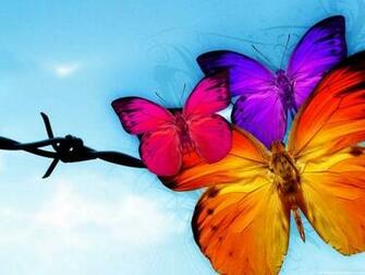Butterfly Wallpaper For Android HD