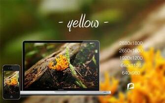 Nature HD Wallpaper Designscrazed