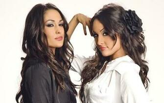 Wwe Divas The Bella Twins