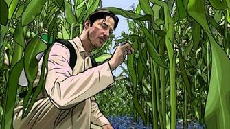 A Scanner Darkly Wallpaper X Net