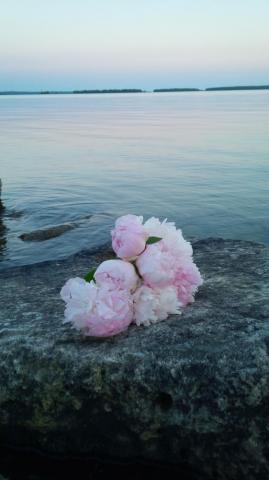 Simple Peaceful Beautiful Stokes Bay Shores Marthamclay