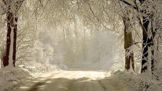 Winter Solstice Wallpaper