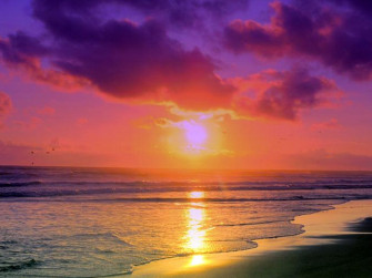 Miami Beach Sunset Wallpaper South