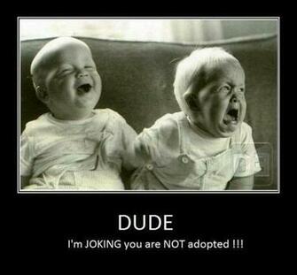 Quotes Funny Pictures Wallpaper Sayings