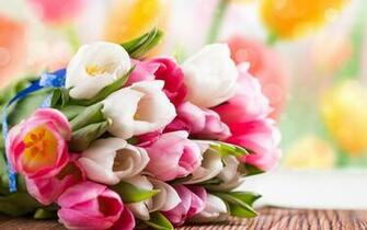 Colorful Flowers Beautiful Wallpaper For Desktop To Make Cool