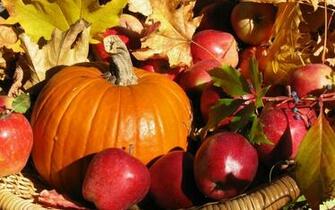 Fall Harvest HD Wallpaper For Mac Amazing Wallpaperz