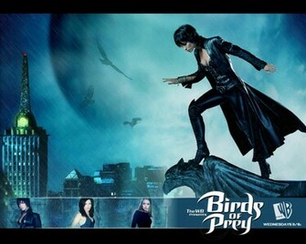 Birds Of Prey Wallpaper