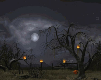 Halloween Gallery Photo Wallpaper Background