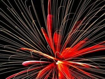 Wallpaper Friends Actions Grab Rss Feed Sitemap Fireworks