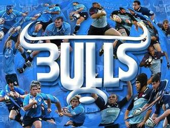 Blue Bulls Wallpaper