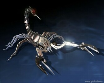 Beautiful 3d Scorpio HD High Quality Wallpaper For Computers E