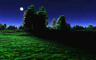 Summer Night Wallpaper