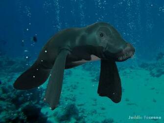 Wallpaper Manatee Background