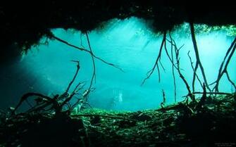 Cenote Carwash Tulum Wallpaper