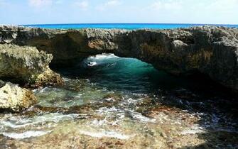 File Cozumel Windward Reef Jpg