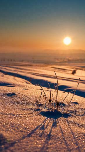Big Picture Wallpaper Android