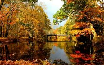 Autumn Lake HD Wallpaper Pulse