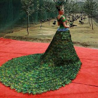 Beautiful Peacock Costume Wallpaper HD Uploaded By