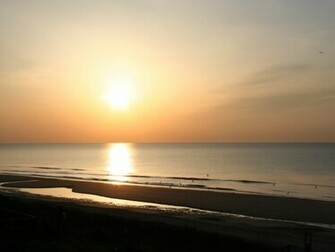Animals S Sunrise Beach Wallpaper For Beautiful Desktop