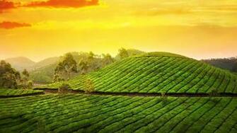 Kerala Nature Wallpaper Widescreen HD