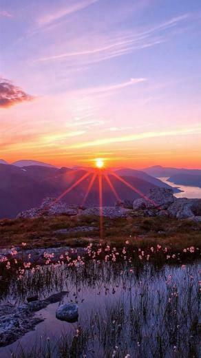 Cool Samsung Galaxy S5 Wallpaper