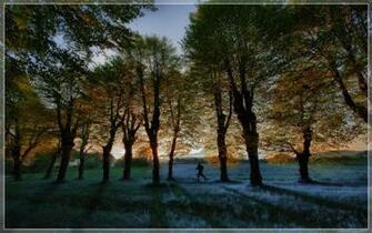 Distance Runner Wallpaper HD Desktopinhq