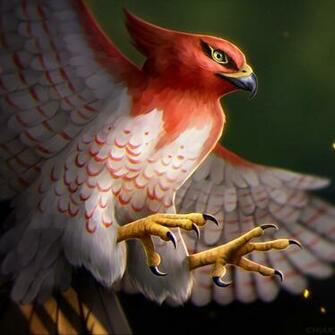 Talonflame Pokemon iPad Air HD 4k Wallpaper Image
