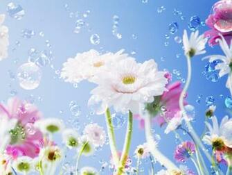 Pretty Flower Background Wallpaper HD